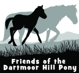 Friends Of The Dartmoor Hill Pony